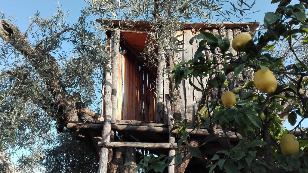 Le Case Di Bacco Santa Venerina Exterior photo